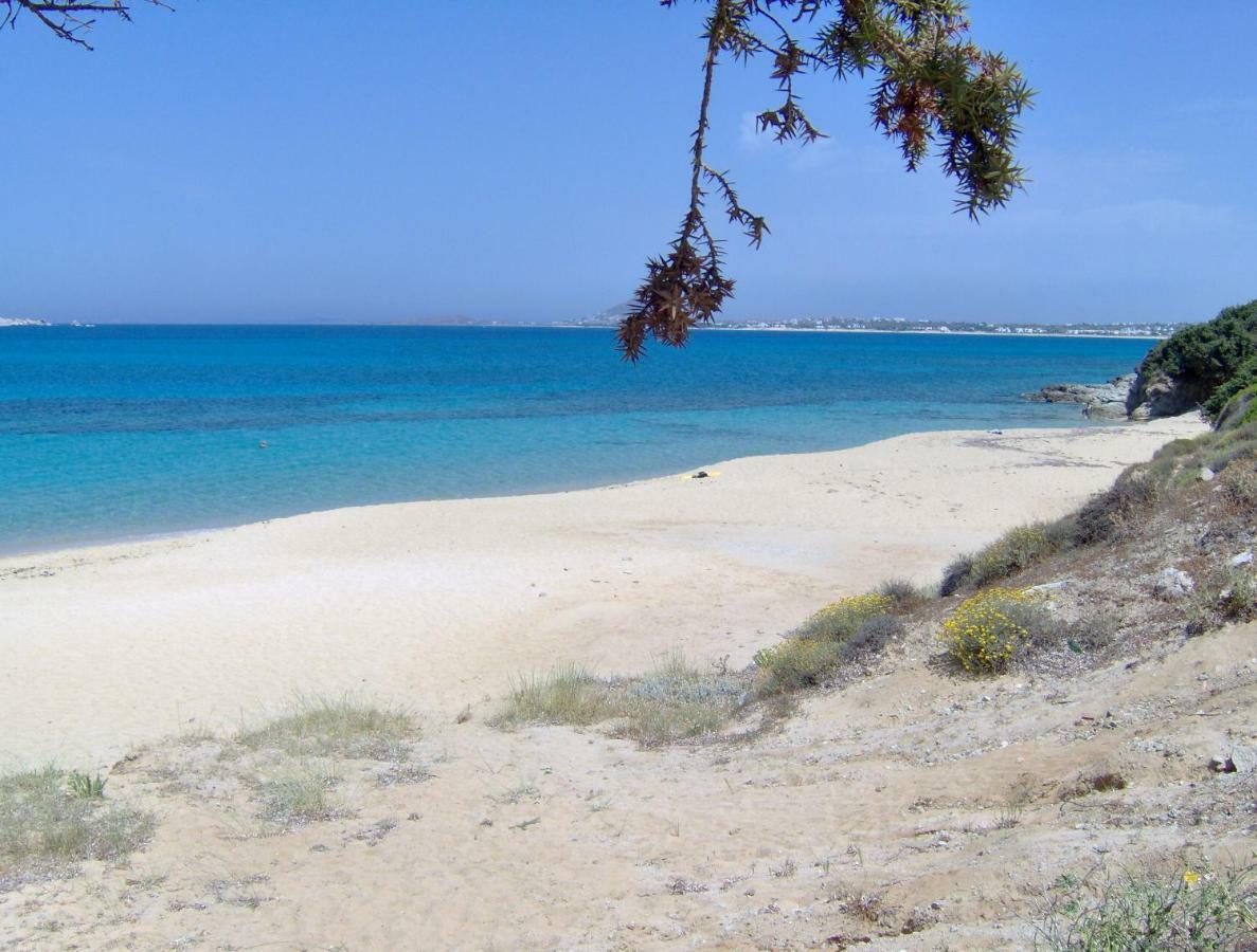 Matina Naxos - Mikri Vigla ξενώνας Εξωτερικό φωτογραφία
